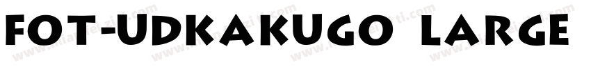 FOT-UDKakugo Large Pr6N字体转换